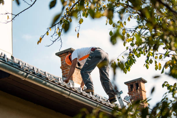 Best Flat Roof Repair Services  in East St Louis, IL